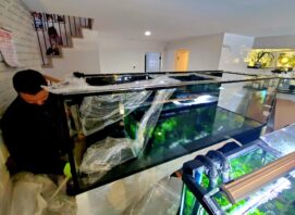 Moving Large Fish Tank