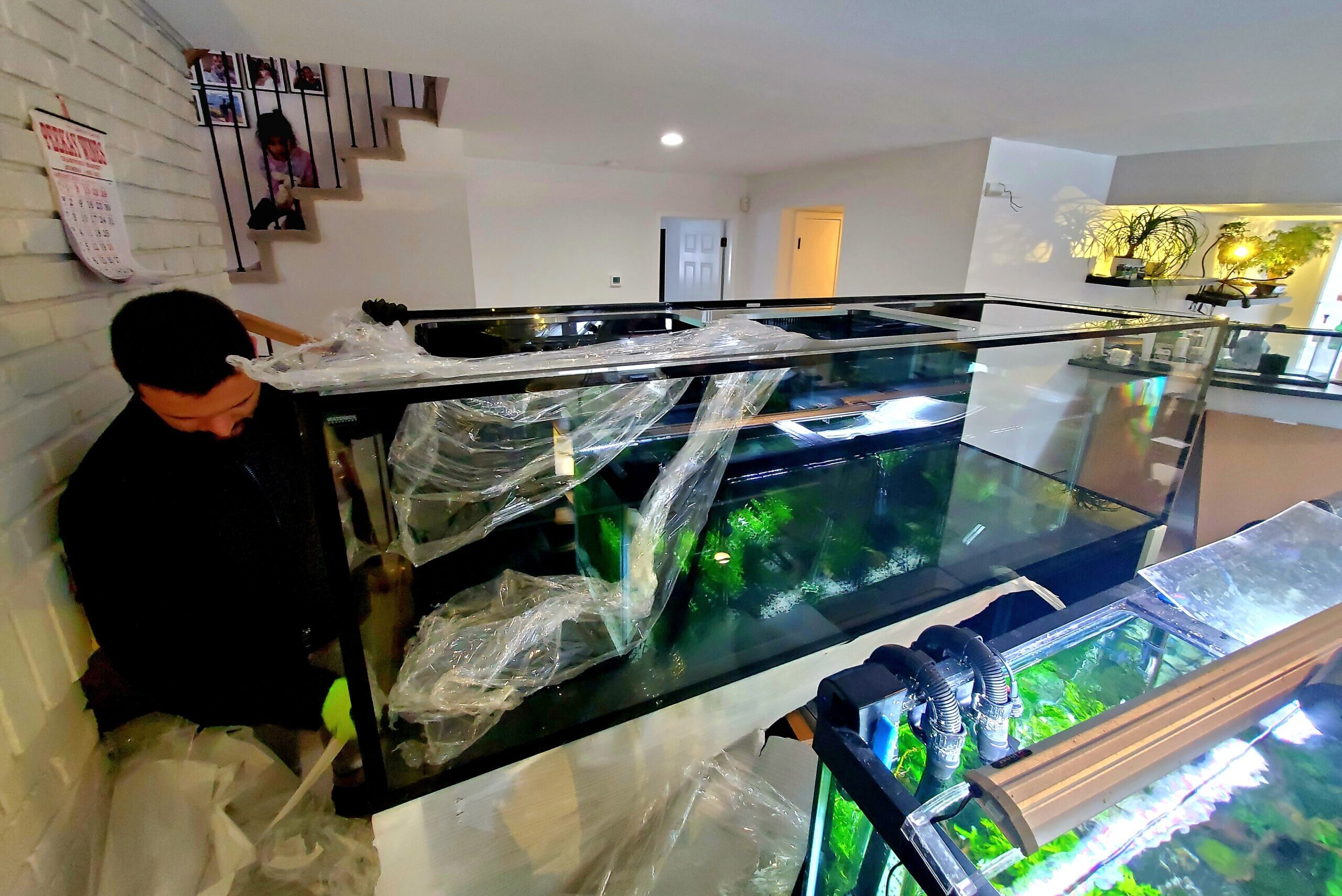 Moving Large Fish Tank